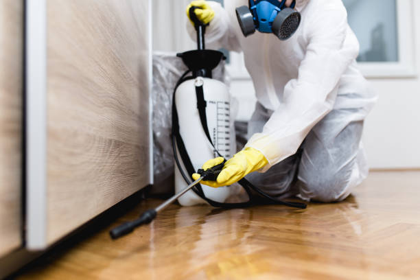 Best Residential Pest Control  in Hannibal, MO