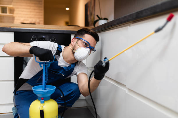Best Pest Control Treatment  in Hannibal, MO