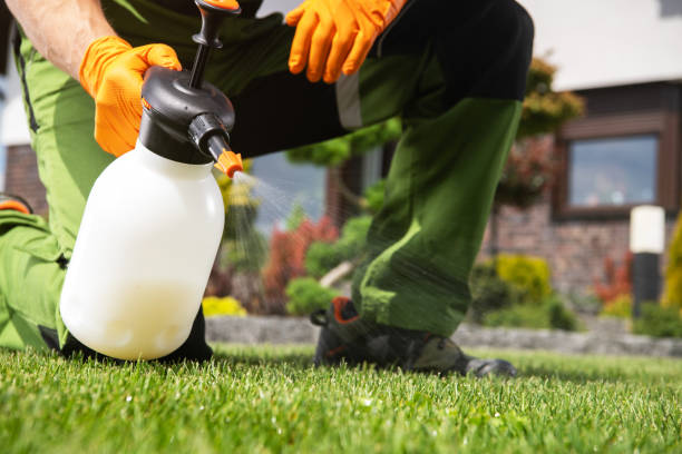Best Bed Bug Extermination  in Hannibal, MO