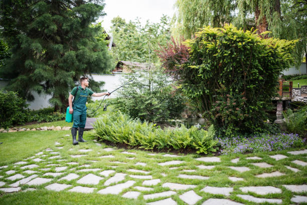 Best Pest Removal Services  in Hannibal, MO