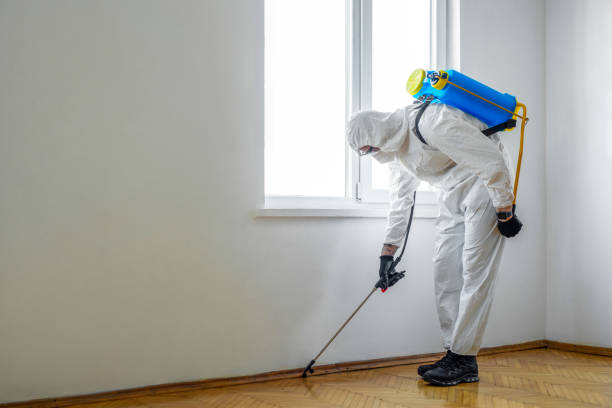 Best Mosquito Control Services  in Hannibal, MO
