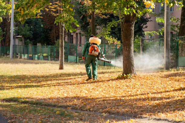 Pest Prevention Services in Hannibal, MO