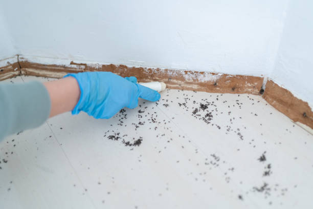 Best Wildlife Control Services  in Hannibal, MO